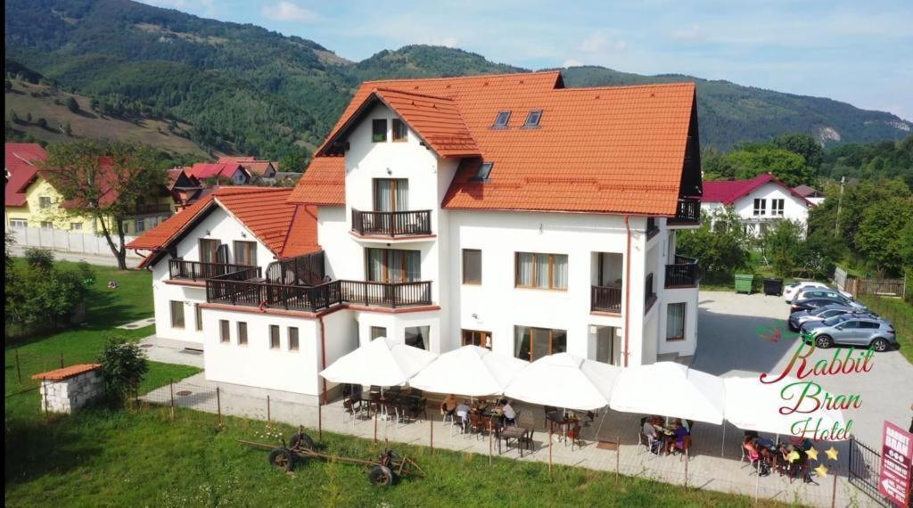 Hotel Rabbit Bran Moieciu de Jos Extérieur photo