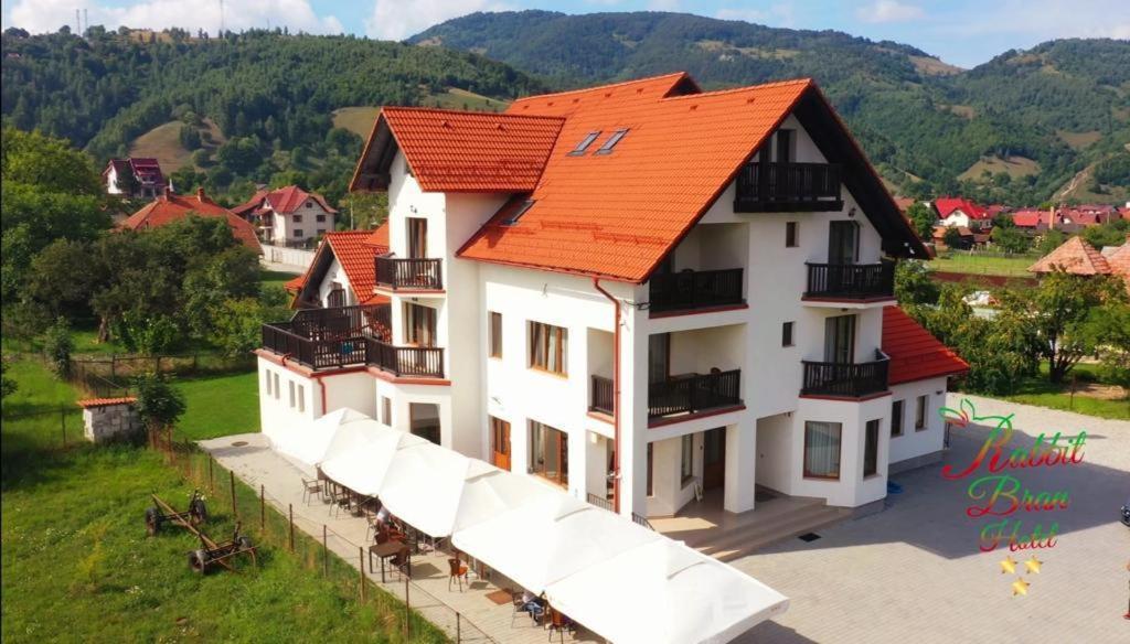 Hotel Rabbit Bran Moieciu de Jos Extérieur photo